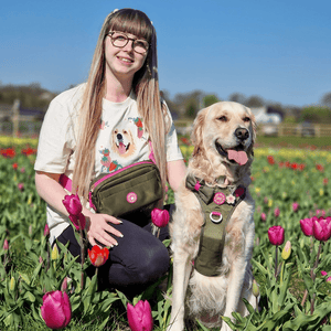 Trail & Glow Dog Harness - COLOUR DROPS® - Hot Khaki - Bailey and Coco (UK)