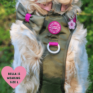 Trail & Glow Dog Harness - COLOUR DROPS® - Hot Khaki - Bailey and Coco (UK)