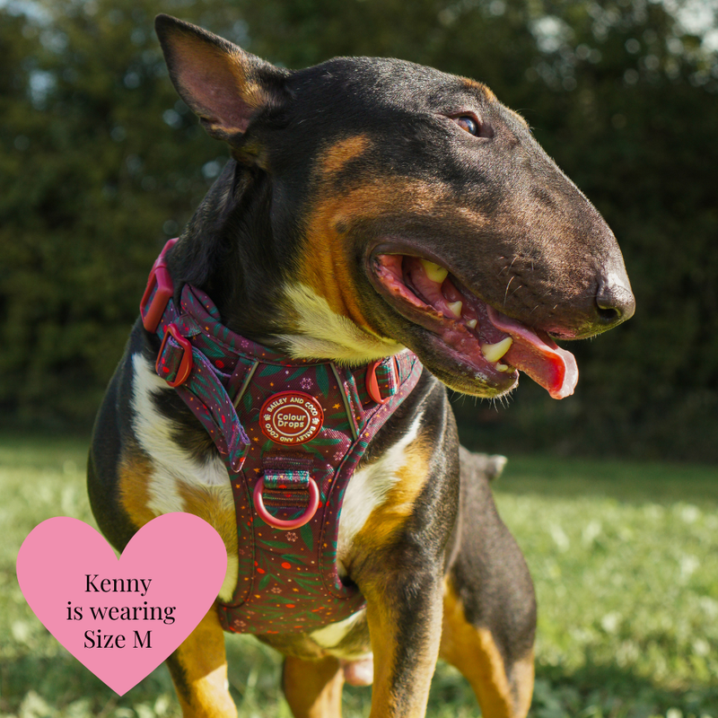 Trail & Glow Dog Harness - Colour Drops - Jingle Berry - Bailey and Coco (UK)