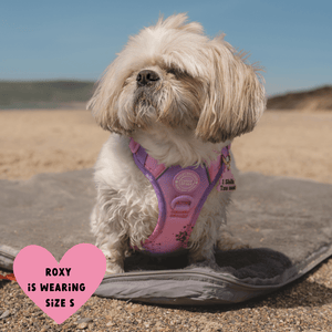 Trail & Glow Dog Harness - COLOUR DROPS® - Love that for you - Bailey and Coco (UK)
