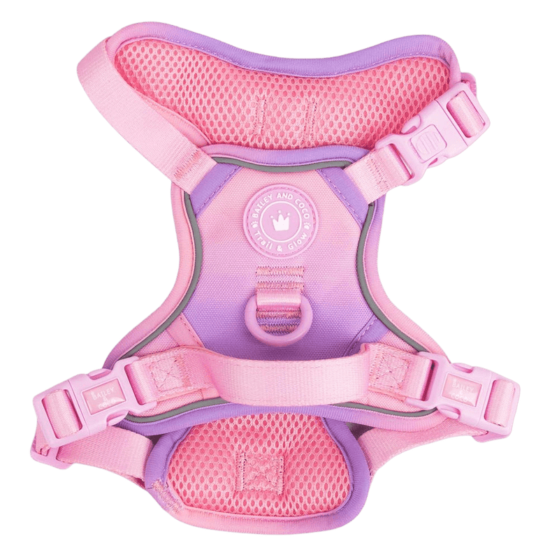 Trail & Glow Dog Harness - COLOUR DROPS® - Love that for you - Bailey and Coco (UK)