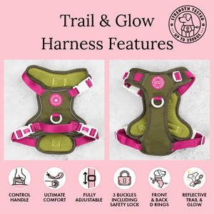 Trail & Glow Dog Harness - COLOUR DROPS® - Olive it Hot - Bailey and Coco (UK)