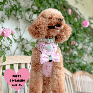 Trail & Glow Dog Harness - COLOUR DROPS® - Pick Me - Bailey and Coco (UK)