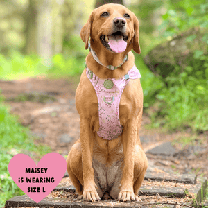 Trail & Glow Dog Harness - COLOUR DROPS® - Pick Me - Bailey and Coco (UK)