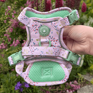 Trail & Glow Dog Harness - COLOUR DROPS® - Pick Me - Bailey and Coco (UK)