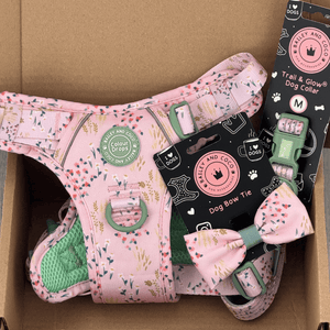 Trail & Glow Dog Harness - COLOUR DROPS® - Pick Me - Bailey and Coco (UK)