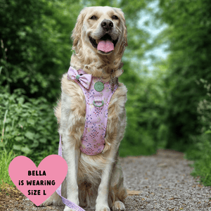 Trail & Glow Dog Harness - COLOUR DROPS® - Pick Me - Bailey and Coco (UK)