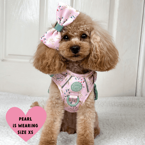 Trail & Glow Dog Harness - COLOUR DROPS® - Pick Me - Bailey and Coco (UK)