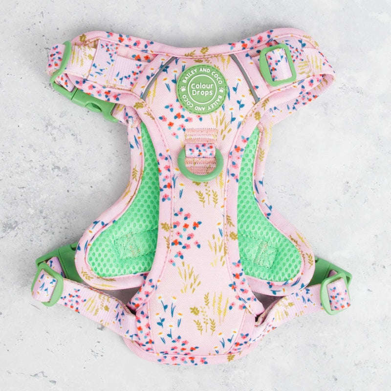 Trail & Glow Dog Harness - COLOUR DROPS® - Pick Me - Bailey and Coco (UK)