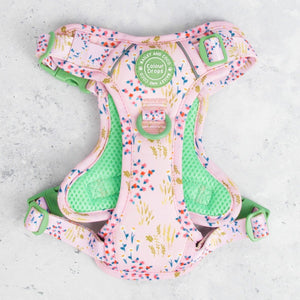 Trail & Glow Dog Harness - COLOUR DROPS® - Pick Me - Bailey and Coco (UK)
