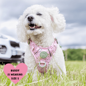 Trail & Glow Dog Harness - COLOUR DROPS® - Pick Me - Bailey and Coco (UK)