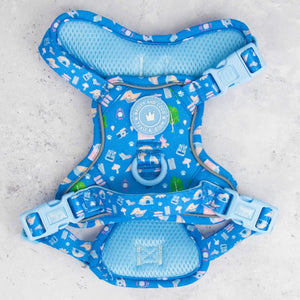 Trail & Glow Dog Harness - COLOUR DROPS® - Pitch, Please - Bailey and Coco (UK)