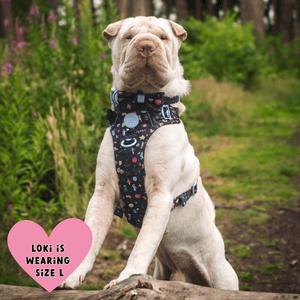 Trail & Glow Dog Harness - COLOUR DROPS® - Space Paws - Bailey and Coco (UK)