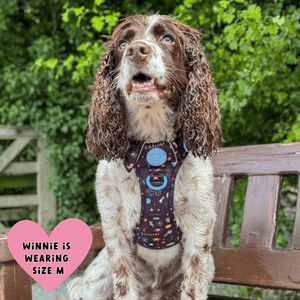 Trail & Glow Dog Harness - COLOUR DROPS® - Space Paws - Bailey and Coco (UK)