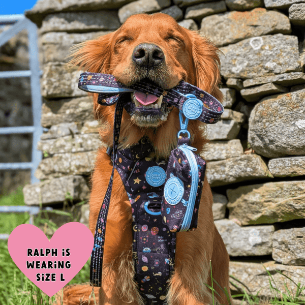 Trail & Glow Dog Harness - COLOUR DROPS® - Space Paws - alternate view