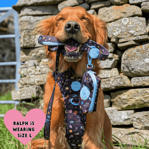 Trail & Glow Dog Harness - COLOUR DROPS® - Space Paws - Bailey and Coco (UK)