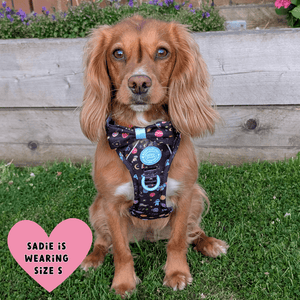 Trail & Glow Dog Harness - COLOUR DROPS® - Space Paws - Bailey and Coco (UK)