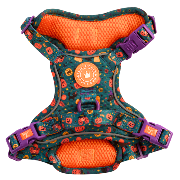 Trail & Glow Dog Harness - Colour Drops - Spellbound Autumn - Bailey and Coco (UK)