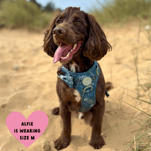 Trail & Glow Dog Harness - COLOUR DROPS® - Touch Grass - Bailey and Coco (UK)