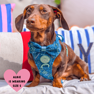 Trail & Glow Dog Harness - COLOUR DROPS® - Touch Grass - Bailey and Coco (UK)