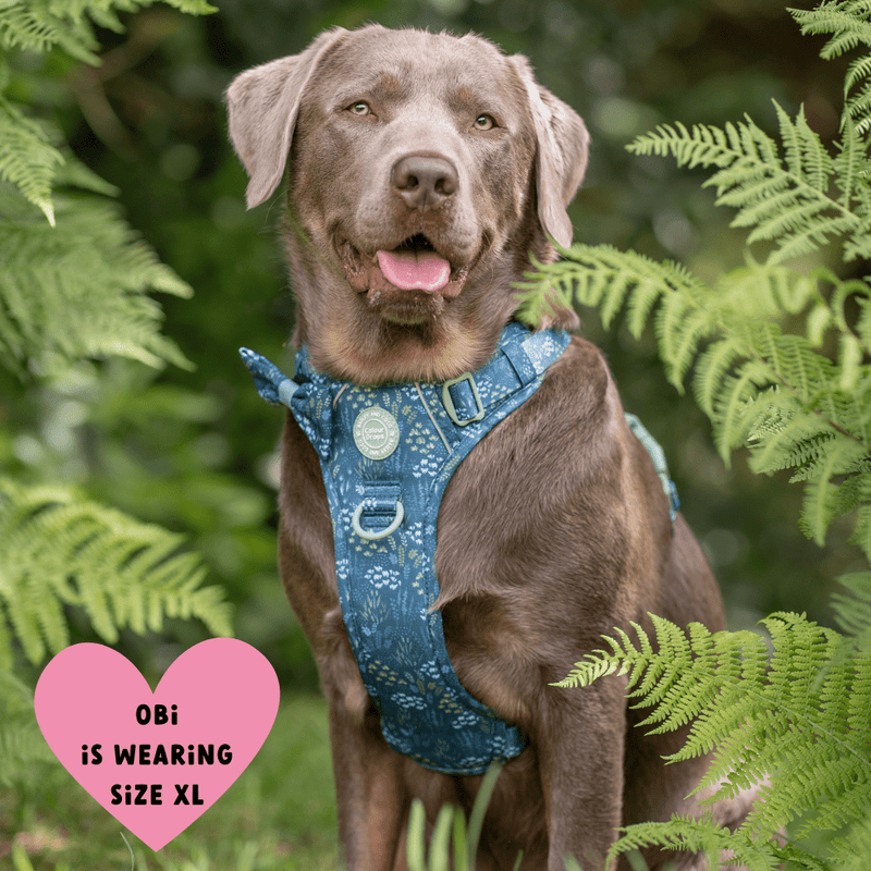 Trail & Glow Dog Harness - COLOUR DROPS® - Touch Grass - Bailey and Coco (UK)