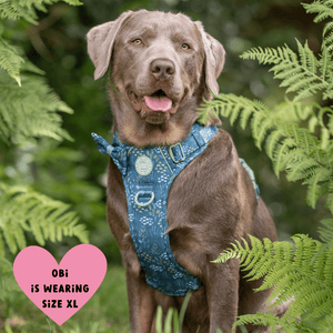 Trail & Glow Dog Harness - COLOUR DROPS® - Touch Grass - Bailey and Coco (UK)