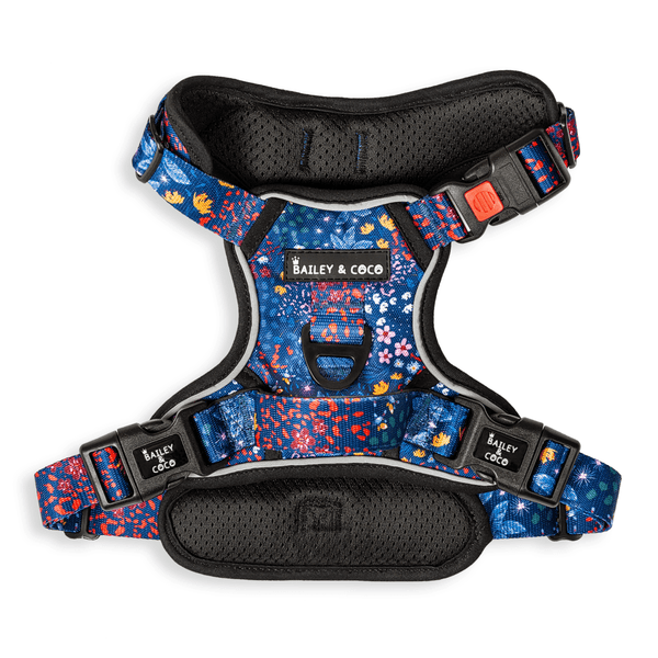 Trail & Glow® Dog Harness - Enchanted - Original Design - Bailey and Coco (UK)