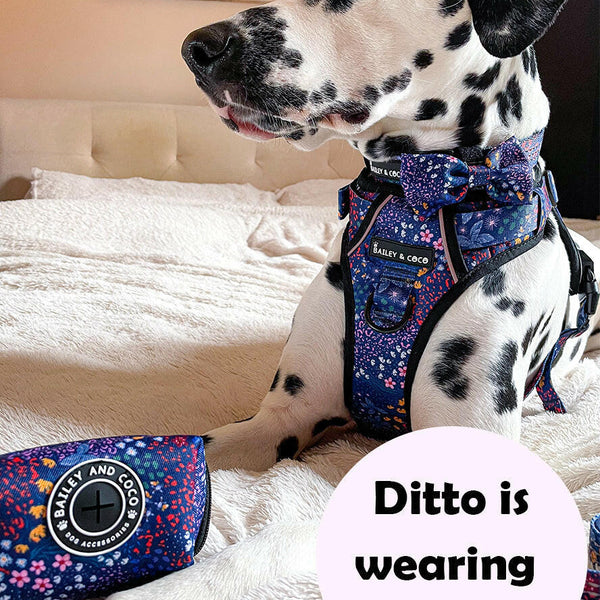 Trail & Glow® Dog Harness - Enchanted - Original Design - alternate view