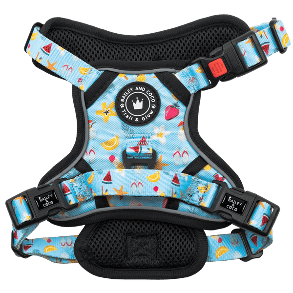 Trail & Glow® Dog Harness - Feels Like Summer - Bailey and Coco (UK)
