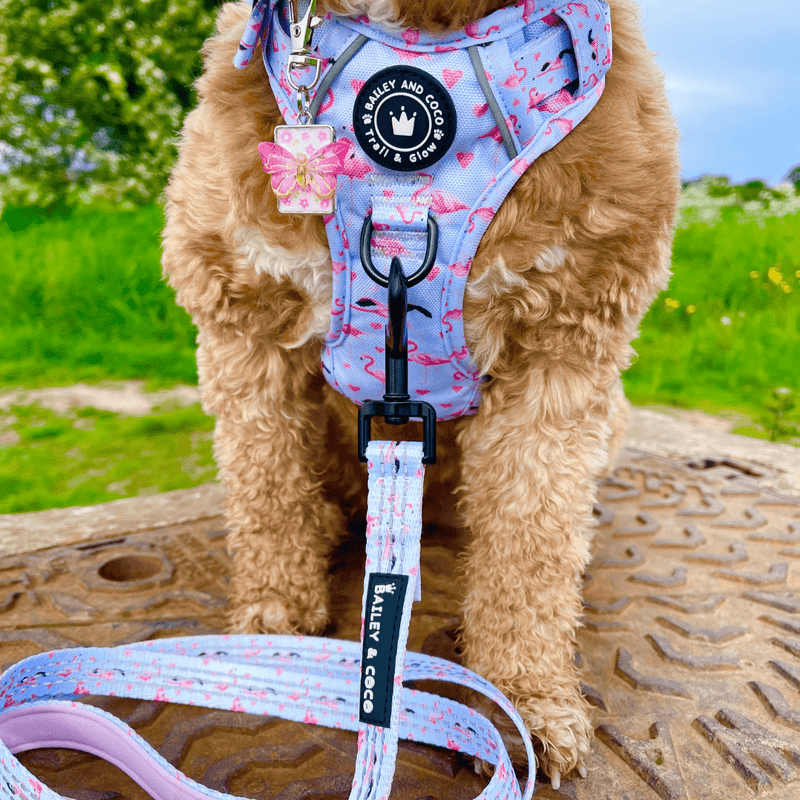 Trail & Glow® Dog Harness - Flamingo Fling - Bailey and Coco (UK)