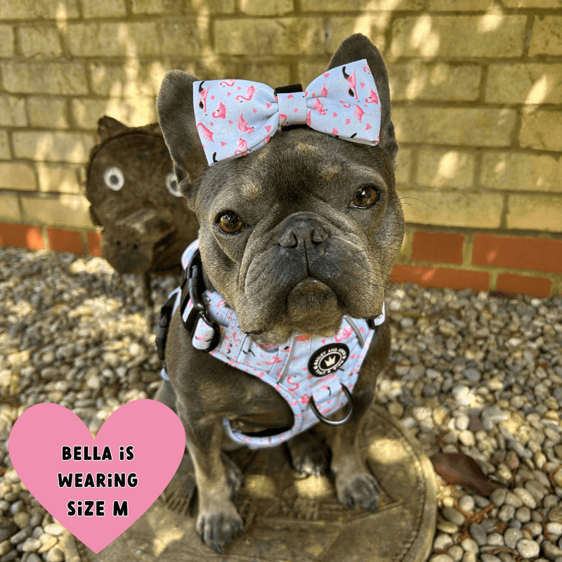Trail & Glow® Dog Harness - Flamingo Fling - Bailey and Coco (UK)