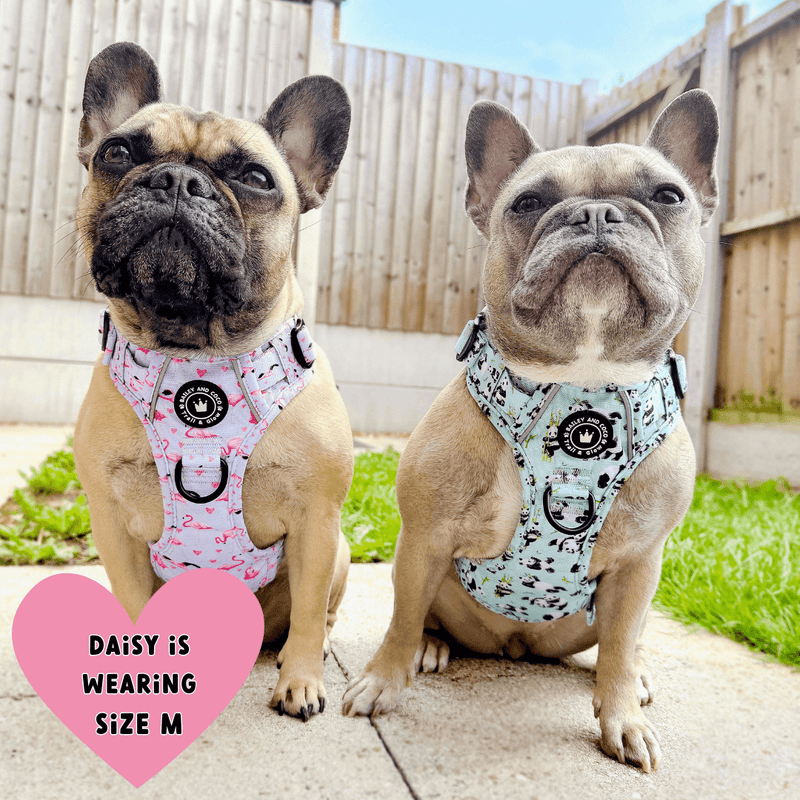 Trail & Glow® Dog Harness - Flamingo Fling - Bailey and Coco (UK)