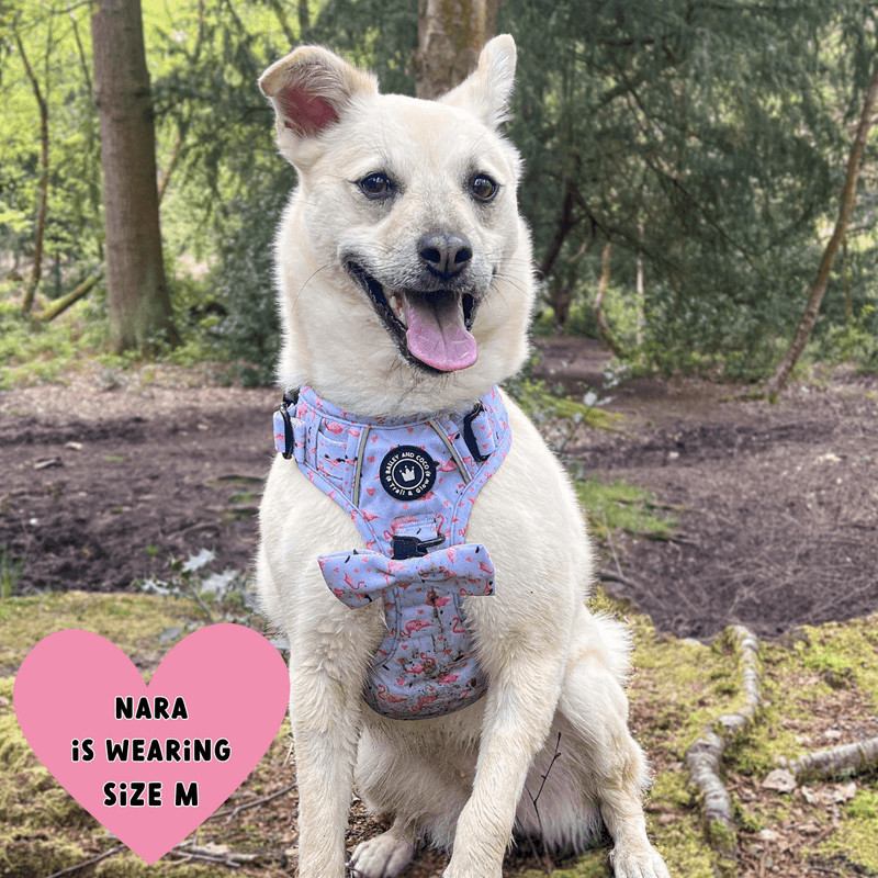 Trail & Glow® Dog Harness - Flamingo Fling - Bailey and Coco (UK)