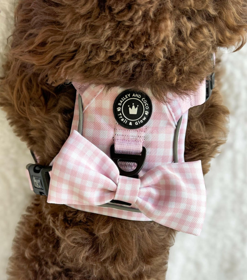 dog harness for cockapoo
