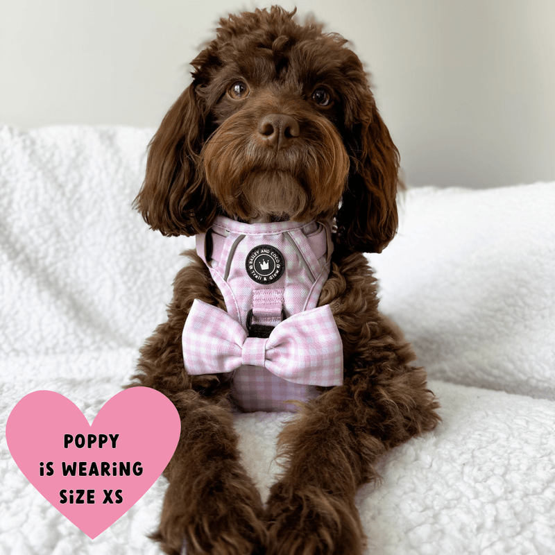 perfect fit harness cockapoo