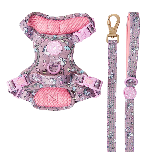Trail & Glow Dog Harness & Lead Set - Colour Drops - Be Unique - Bailey and Coco (UK)