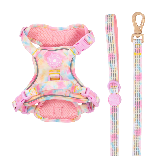 Trail & Glow Dog Harness & Lead Set - Colour Drops - Candy Floss - Bailey and Coco (UK)