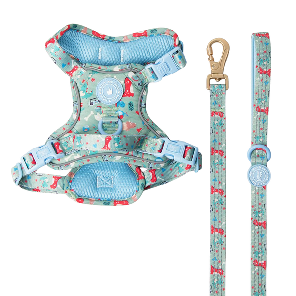 Trail & Glow Dog Harness & Lead Set - Colour Drops - Dino Party - Bailey and Coco (UK)