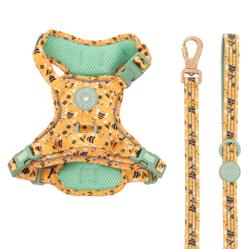 Trail & Glow Dog Harness & Lead Set - Colour Drops - Wanna - Bee - Bailey and Coco (UK)