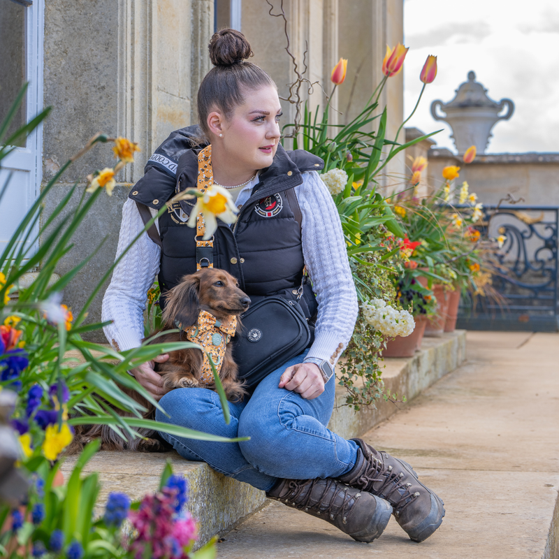 Trail & Glow Dog Harness & Lead Set - Colour Drops - Wanna - Bee - Bailey and Coco (UK)