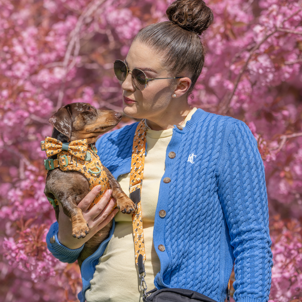 Wanna-Bee Adjustable Dog Harness, Lead, Collar & Latte Dog Walking Bag Bundle - alternate view