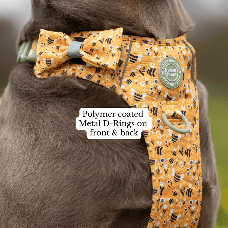 Trail & Glow Dog Harness & Lead Set - Colour Drops - Wanna - Bee - Bailey and Coco (UK)