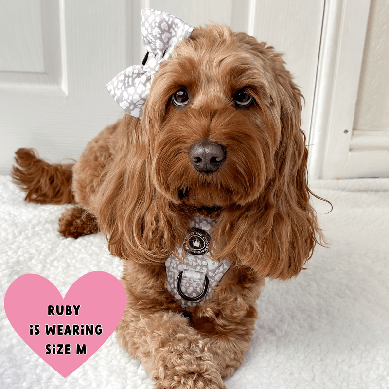 harness for a cockapoo