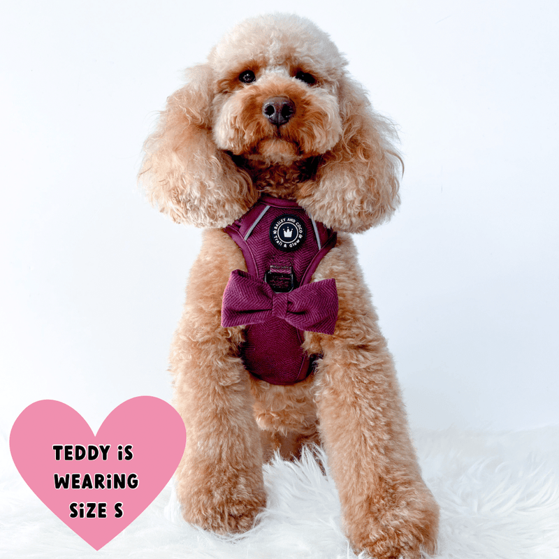 Trail & Glow® Dog Harness - Mulberry Tweed - Bailey and Coco (UK)