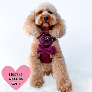 Trail & Glow® Dog Harness - Mulberry Tweed - Bailey and Coco (UK)