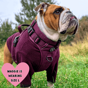 Trail & Glow® Dog Harness - Mulberry Tweed - Bailey and Coco (UK)