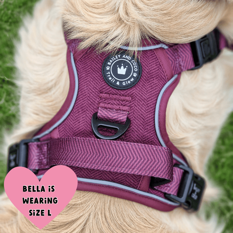 Trail & Glow® Dog Harness - Mulberry Tweed - Bailey and Coco (UK)