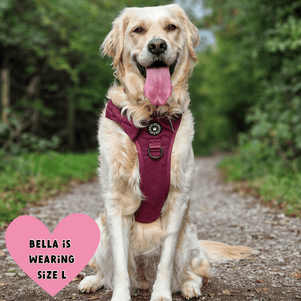 Trail & Glow® Dog Harness - Mulberry Tweed - Bailey and Coco (UK)