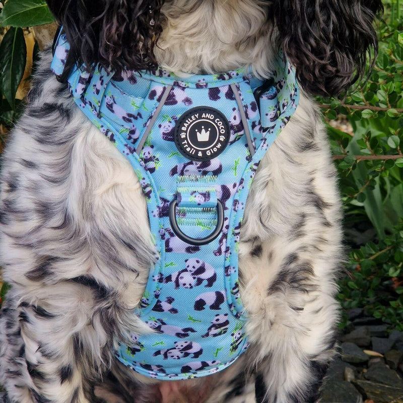 sprocker harness