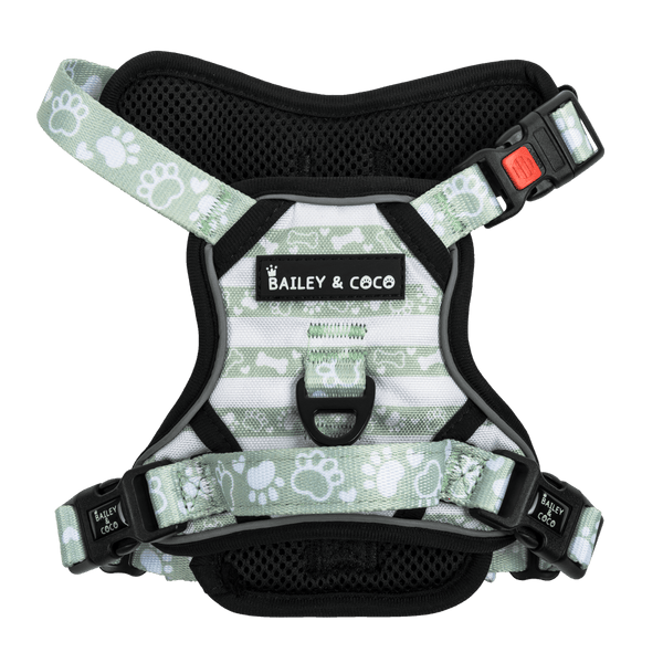 Trail & Glow® Dog Harness - Peppermint Paws - Bailey and Coco (UK)